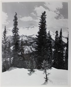 Image description is not available for 2007.035